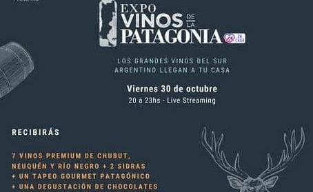 expovinospata (1) (1) (1)